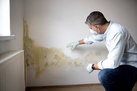 Best Emergency Mold Remediation  in Southgate, KY